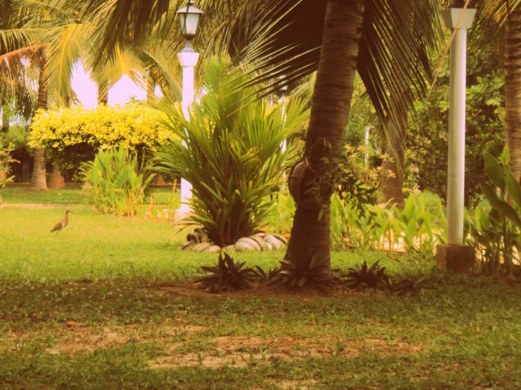 Hotel Lagoon Paradise Negombo Exterior foto