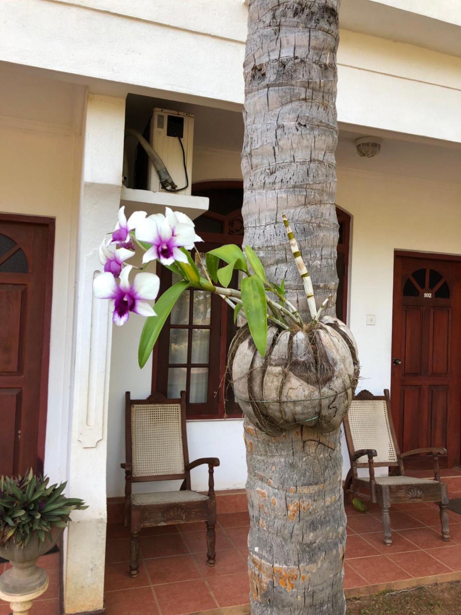 Hotel Lagoon Paradise Negombo Exterior foto